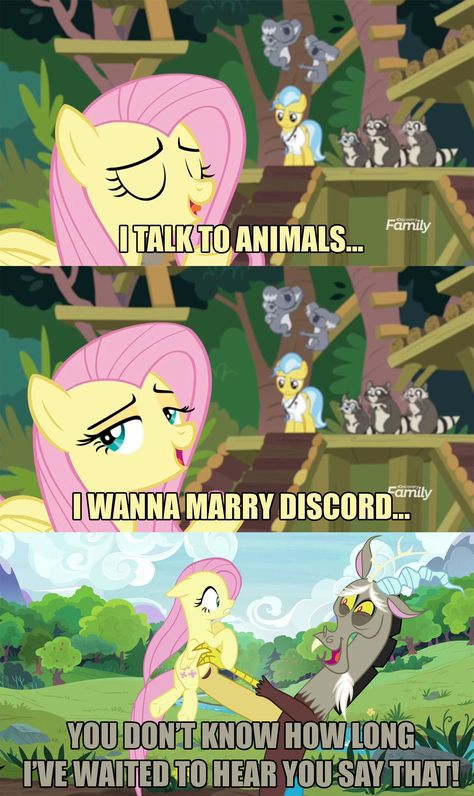 Fluttershy Discord, Mlp Discord, Mlp Funny, Mlp Memes, My Little Pony Poster, Mlp Comics, My Lil Pony, Mlp Fan Art, My Little Pony Comic