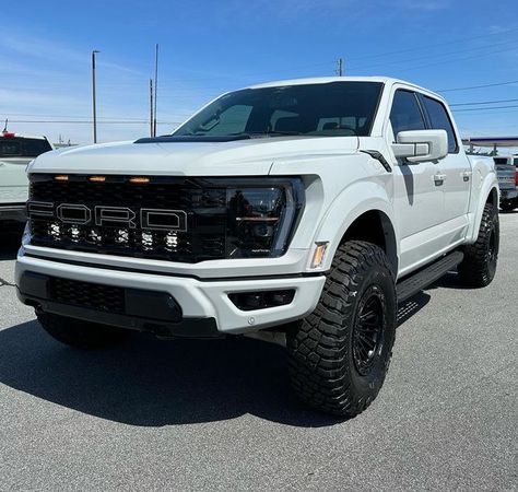 Wild Willies on Instagram: "💎🎊Congratulations to Gonzalez Construction in ARIZONA on your Avalanche Gray 2023 Akins Ford Raptor INDO Edition on 37s @akinsofwinder @wildwillies_customaccessories @raptor.gen3 @fordraptorgarage @raptor.world @fiftynation #f150 @f150modified @f150_nation @fox @hostilewheels @bfgoodrichtires @hionlumens #realdealneal #fyp #foxshocks #gen3 #gen3raptor #avalanche @bajadesigns @my_road_to_f150 @fordtruckclub @fordtrucksworld @knfilters" 2023 Raptor, New Ford Raptor, Ford Lobo, Ram Trx, Nardo Grey, Ford F150 Raptor, Muscle Truck, Ford Raptor, Custom Wheels