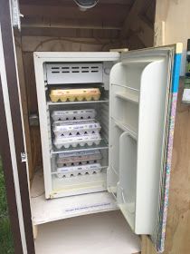 The Smart Momma: The Egg Shack Egg Business, Egg Cell, Mini Fridge Stand, Selling Eggs, House For Sell, Chicken Brooder, Eggs For Sale, Chicken Coup, Egg Stand