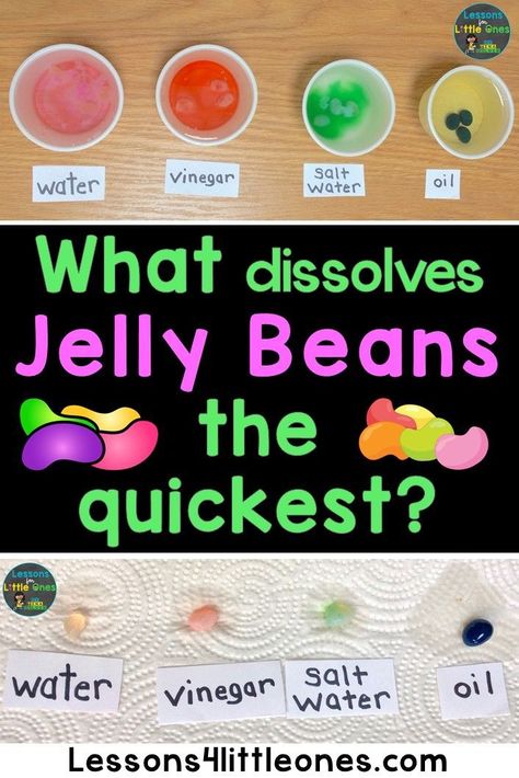 Jelly Bean Science Experiment for Kids - this easy to set up jelly bean experiment teaches students about solubility (how well something can dissolve something else). Find step by step directions for this jelly bean dissolving experiment plus additional science & STEM activities that are perfect for keeping children engaged the weeks before or after Easter. Jelly Bean Experiment Preschool, Jelly Bean Experiment, Jelly Bean Science Experiment, Easter Science Experiments, Easter Science, Early Childhood Education Resources, Science Week, Easter Preschool, Easy Science