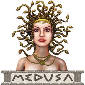 Medusa y Perseo Medusa Costume Ideas, Medusa Myth, Greek Creatures, Perseus And Andromeda, Greek Mythology Medusa, Mythology Medusa, Medusa Costume, Snake Hair, Medusa Gorgon