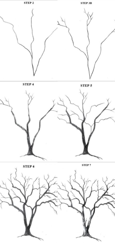 Trees Art Drawing, Trees Drawing Tutorial, Trin For Trin Tegning, Seni Mural, Siluete Umane, Seni Cat Air, Lukisan Cat Air, Tree Drawing, Pencil Art Drawings