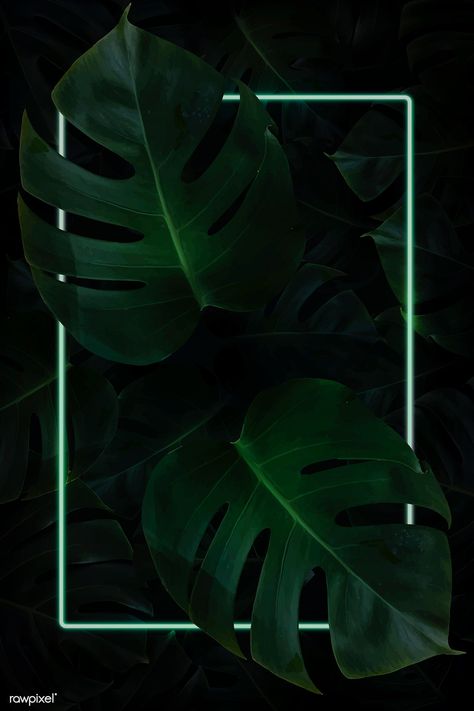 Rectangle green neon frame on tropical leaf background vector, 4k iphone and mobile phone wallpaper | premium image by rawpixel.com / manotang Tropical Leaf Background, Brick Wallpaper Background, Black Brick Wallpaper, Pink And Gold Background, Leaves Wallpaper Iphone, Lotus Flower Wallpaper, Neon Frame, Neon Light Wallpaper, Minimal Background