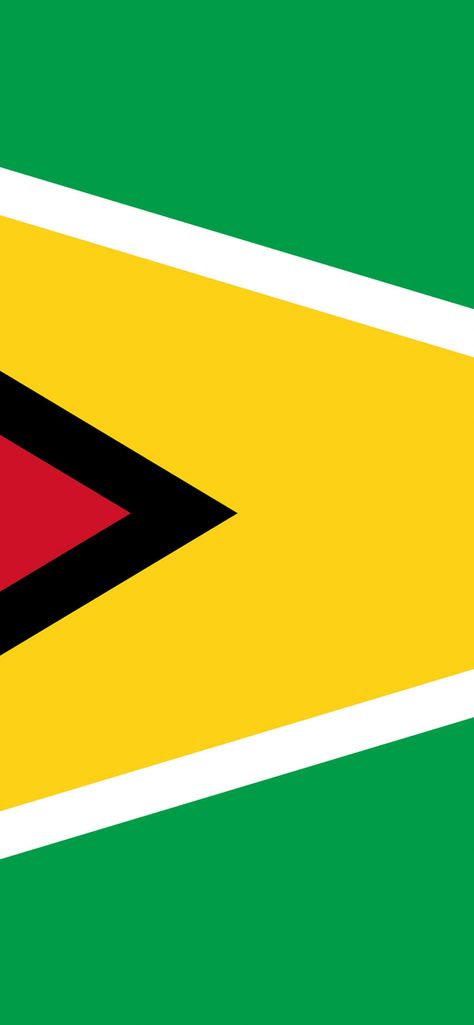 Download free HD wallpaper from above link! #geography #guyanaflagwallpaper #guyanaflagwallpaperforiphone #guyaneseflagwallpaper Guyanese Flag, Guyana Flag, Flag Wallpaper, Wallpaper For Iphone, Free Hd Wallpapers, Android Tablets, Geography, Wallpaper Iphone, Hd Wallpaper