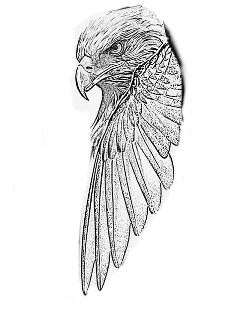 Eagle Shoulder Tattoo, Eagle Wing Tattoos, Bald Eagle Tattoos, Clock Tattoo Design, Egypt Tattoo, Mens Shoulder Tattoo, Dark Art Photography, Tattoo Zeichnungen, Animal Stencil