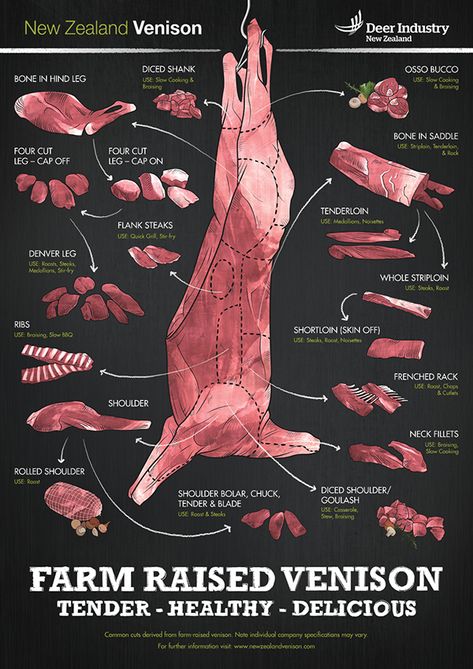 "Deer Industry New Zealand is responsible for promoting and assisting the development of the New Zealand deer industry. Deer Industry New Zealand has a worldwide co-ordination role through research and promotion of quality products derived from deer - esp… Meat Cuts Chart, Deer Butchering, Cow Food, Easy Poster, Venison Meat, Meat Butcher, Deer Recipes, Deer Meat Recipes, Jerky Recipes