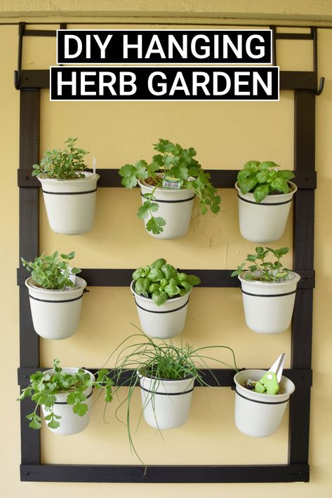 Window Herb Garden Indoor, Hanging Herb Garden Indoor, Diy Hanging Herb Garden, Hanging Herb Gardens, Indoor Herb Garden Diy, Renter Friendly Decorating, Window Herb Garden, Herb Garden Wall, Hanging Herb Garden