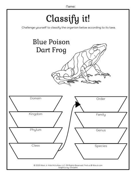 Classification System Science Lesson: Learning Taxonomy | Woo! Jr. Kids Activities Microscopic Organisms, 5th Grade Science, Photosynthesis, Life Science, Science Lessons, Used Books, Printable Activities, Helping Kids, Activities For Kids