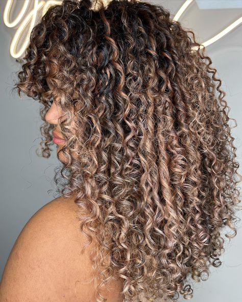 Highlights For Brown Hair Caramel, Fall Highlights For Brown Hair Caramel, Highlights On Dark Curly Hair, Honey And Caramel Highlights, Fall Highlights For Brown Hair, Short Curly Hair Updo, Caramel Highlights On Dark Hair, Brown Hair Caramel, Caramel Highlights On Brown Hair