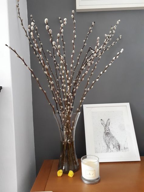 Pussywillow Decor, Salix Caprea, Willow Decor, Deco 2023, Decoration Tips, Garden Idea, Spring Decorating, House Bedrooms, Floral Arrangements Diy