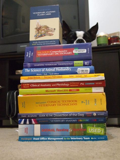 "Look at all dis knowledge!" Posie takes a gander at my vet tech books for my first semester! Vet tech school, Boston Terrier Vet Student Motivation, Vet School Aesthetic, Vet Tech Aesthetic, Vet Student Aesthetic, Vet School Motivation, Veterinary Anatomy, Vet Tech Humor, Anatomy Coloring, Vet Tech School