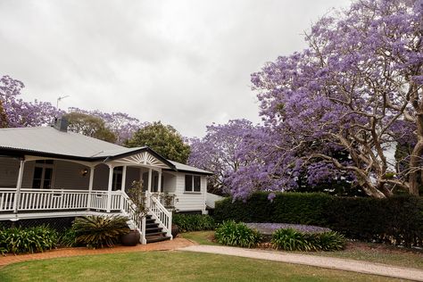 Kate and Keith's Rosewood Estate Wedding » Cloud Catcher | Gold Coast Wedding Photography Rosewood Estate, Jacaranda Tree, Sparkle Outfit, Wedding Day Timeline, Urban Wedding, Pretty Party, Coastal Wedding, Coast Wedding, Happy Fun