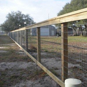 Orlando Field Fence Installation - Straightline Fence Gate Images, Fence Planning, Ranch Fencing, Deer Resistant Garden, Fence Construction, Field Fence, Deer Fence, Fencing Material, Rail Fence