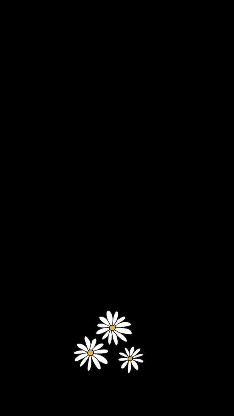 Daisy Flower Black Background, Cute Wallpapers For Phone Dark, Daisy Wallpaper Aesthetic Black, Daisy Flower Wallpaper Black, Black Flower Wallpaper Iphone, Mi Band Wallpaper, Black Wallpaper Flower, Black Flowers Wallpaper, Daisy Background