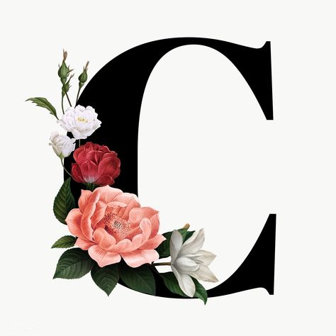 C Design Letter, C Letter Design, Letter C Design, C Letter, C Design, Letter Design, Letter C, Transparent Png, Alphabet