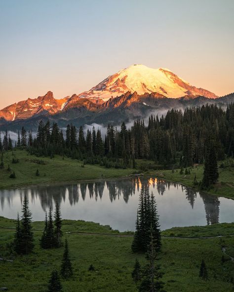 Mini Guide to Mount Rainier National Park✨ 📍SAVE to plan your visit to Mount Rainier National Park ✨Permits - You must get a timed entry reservation in advance if entering through the Paradise or Sunrise entrances between 7AM and 3PM ✨Best Viewpoints - Tipsoo Lake (pic 1) - Sunrise Point - Reflection Lake - Paradise Visitor Center ✨Best Day Hikes - Skyline Trail- 6 miles, difficult - High Lakes Loop- 3.2 miles, moderate - Mount Fremont Lookout Tower- 5.7 miles, moderate - Naches Peak Lo... Mount Aspiring National Park, My Rainier National Park, Tipsoo Lake, Rainy Photos, Washington Trip, Mt Rainier National Park, Lookout Tower, National Parks Photography, Mount Rainier National Park