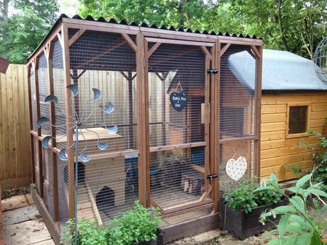 Bunny Enclosure Ideas, Rabbit Enclosure Ideas, Outside Rabbit Enclosure, Outdoor Bunny Enclosure, Outdoor Rabbit Enclosure, Bunny Enclosure, Bunny Sheds, Play Area Ideas, Rabbit Shed