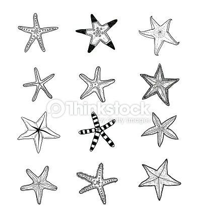 Starfish Drawing, Swag Tattoo, Starfish Tattoo, Small Girly Tattoos, Ocean Tattoos, Petite Tattoos, Tasteful Tattoos, Red Ink Tattoos, Classy Tattoos