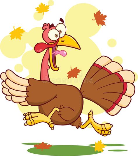 Turkey Cartoon, Turkey Drawing, Cartoon Turkey, Happy Squirrel, Thanksgiving Cartoon, Turkey Bird, Happy Turkey Day, Cartoon Mascot, Free Vector Illustration