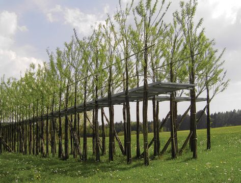 Plant Structure, Modern Landscaping, Land Art, Green Wall, Permaculture, Walkway, 인테리어 디자인, Landscape Architecture, Garden Inspiration