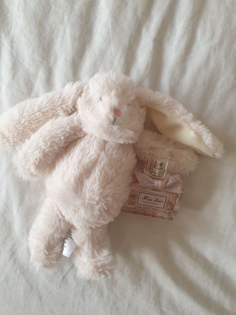 Coquette, bunny, teddy bear, plushie, dior, miss dior, perfume, pink, softcore, cute, ballet Coquette Plushies, Alec Lightwood Aesthetic, Bunny Teddy Bear, Coquette Bunny, White Chocolate Covered Strawberries, Coquette Academia, Unrealistic Wishlist, Miss Dior Perfume, Bunny Teddy