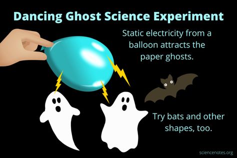 Science experiment:
Items needed:
Balloon
Tissue Paper Dancing Ghosts Science, Dancing Ghosts Experiment, Easy Halloween Science Experiments, Ghost Science Experiment, Halloween Science Experiments For Kids, Halloween Science Projects, Pta Activities, Gravity Experiments, Dancing Ghosts