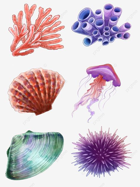 coral clipart,watercolor,background,decorative pattern,small fresh,hand painted,lovely,ocean,plant,blue,the sea,coral,scallop in shell,clams,sea urchin,marine life,jellyfish,shell,blooming,ocean clipart,seashell clipart,sea clipart,plant clipart,jellyfish clipart,shell clipart,watercolor clipart,background clipart,blue clipart Scallops In Shell, Coral Clipart, Shell Clipart, Seashell Clipart, Blue Clipart, Sea Clipart, Ocean Clipart, Ocean Plants, Sea Plants