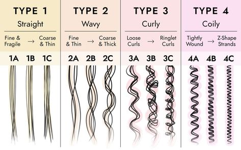 Hair Type Chart, Type Chart, Esthetician School, Hair Test, Best Hair Dryer, Stronger Hair, Haircut Types, Curly Hair Types, Professional Hair Dryer