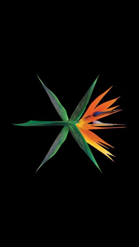 Exo Logos, Exo Logo Wallpapers, Exo Logo, Exo Jongdae, Exo Lockscreen, Cover Wallpaper, Seventeen Wallpapers, Coraline, Sehun