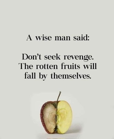 Bad Fruit, Half Apple, Fruit Quotes, Rotten Fruit, Wise Men Say, Inspirational Memes, Bad Apple, Good Thoughts, Memes Quotes