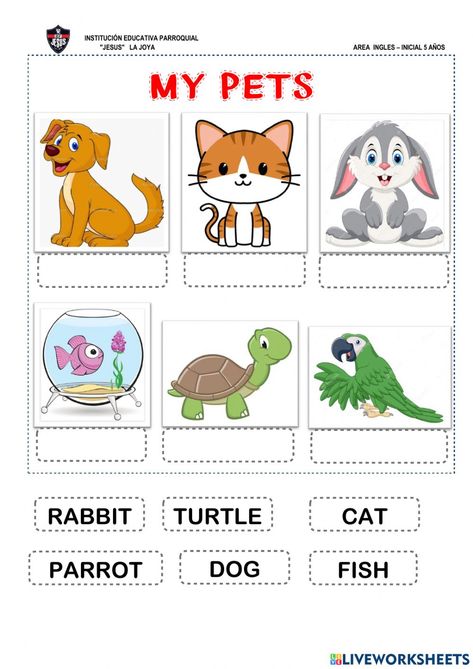 Pets For Preschoolers Activities, Preschool Pets Activities, My Pets Worksheets For Kids, Pet Animals Worksheets For Kids, Pets Worksheets Preschool, Pet Animals Worksheet, Animal Worksheets Preschool, Pets Activities For Kids, Animals Worksheets For Kids