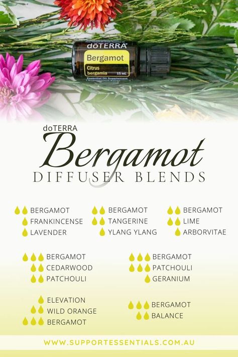 Enjoy these uplifting Bergamot essential oil diffuser blends. Bergamot Diffuser Blend, Bergamot Doterra, Spell Oils, Scent Blends, Diffuser Oils, Essential Oil Diffuser Blends Recipes, Essential Oil Blends Recipes, Using Essential Oils, Bergamot Essential Oil