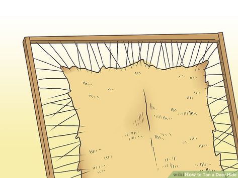 How to Tan a Deer Hide (with Pictures) - wikiHow Tanning Deer Hide, Tanning Hides, Rabbit Hide, How To Tan, Skin Rugs, Deer Hide, Animal Hide, Hunting Blinds, Hide Rug