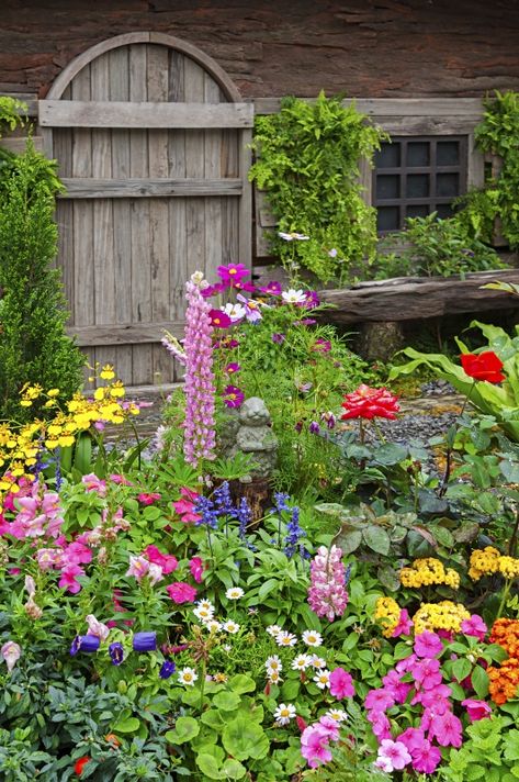 Northern Garden, Summer Lawn Care, Messy Garden, Garden Checklist, Fall Bedding, Color Explosion, Video Garden, Cottage Garden Plants, Cottage Garden Design