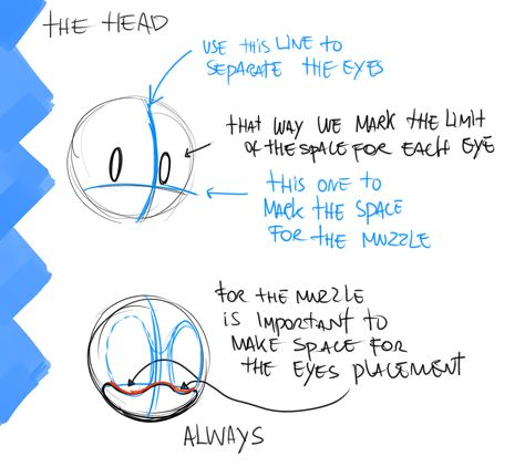 Sonic Art Style Tutorial, Sonic Tutorial, Sonic Art Style, How To Draw Sonic, Cartoon Style Drawing, Drawing Sheet, Sonic Fan Characters, Hedgehog Art, Drawing Expressions