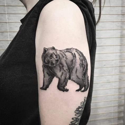 Black Bear Tattoo Ideas, Bear Tattoo Ideas, Bear Tattoo Meaning, Grizzly Bear Tattoos, Black Bear Tattoo, Polar Bear Tattoo, Cute Animal Tattoos, Bear Tattoo Designs, Wild Tattoo