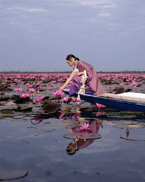 Meitei Tradition Aesthetic, South Asian Aesthetic, Traditional Thai Clothing, Desi Love, Red Lotus, Casual Indian Fashion, Indian Photoshoot, Until We Meet Again, Desi Aesthetic