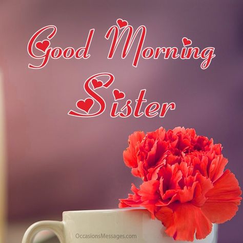 40+ Good Morning Messages for Sister - Occasions Messages Good Morning Sister Love You, Good Morning My Sister, Good Morning Sistas, Good Morning Sis, Good Morning Sister Images, Messages For Sister, Dear Friend Quotes, Sister Images, Cute Good Morning Gif