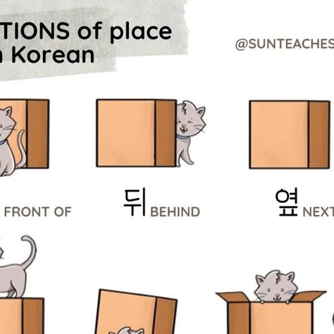 Sun teaches Korean on Instagram: "✔️Prepositions of place in Korean" Korean Prepositions, November 2, Korean Language, Sun, On Instagram, Instagram