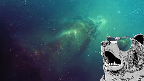 #space, #animals, #humor, #space art, #bears, #turquoise, #glasses, #digital art, #purple, #sunglasses, wallpaper Space Sunglasses, Sunglasses Wallpaper, Laptop Wallpaper Hd 1080p, Laptop Wallpaper Hd, 2048x1152 Wallpapers, Nebula Wallpaper, Planet Painting, Mountain Illustration, Space Illustration