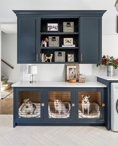 Dog Ideas For The Home, House Development, Country Laundry Rooms, Dog Spaces, Dog Kennels, Dog Crate Furniture, Farmhouse Laundry Room, Laundry Room Diy, Animal Room