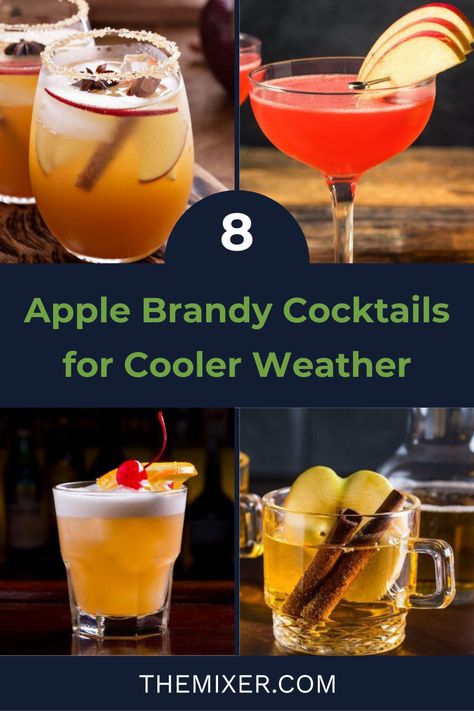 🍏🍎 Give Fall a snuggly hello with these warm Apple Brandy Cocktails. Of course we have Hot Apple Cider and Hot Toddies, but have you ever sipped on a Prohibition-era Jack Rose? Can we tempt you with a Michigander of applejack, Cynar and grapefruit? Grab your coziest scarf, bestie! We’ve got drinks to mix! Apple Brandy Cocktail Recipes, Brandy Cocktail Recipes, Apple Brandy Cocktail, Cocktails For Fall, Brandy Sour, Brandy Drink, Brandy Recipe, Brandy Old Fashioned, Warm Cocktails