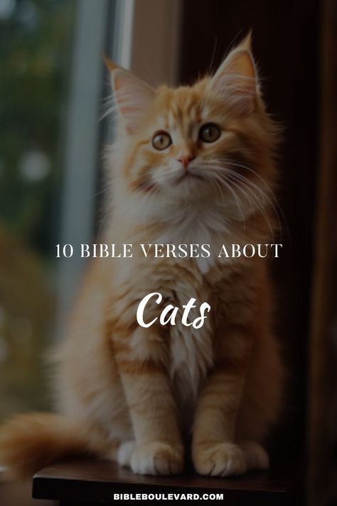 10 Bible Verses About Cats Bible Verse About Animals, Study Notebook, Best Bible Verses, Bible Says, Bible Study Notebook, Verses Wallpaper, Christian Bible Verses, Bible Verse Wallpaper, About Cats