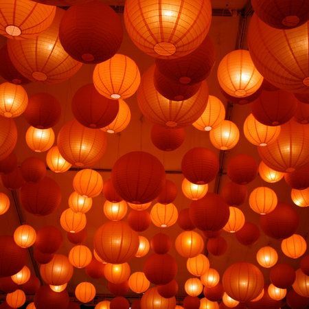 Tanglung Cina, Chinese Lanterns Plant, Aesthetic Orange, Orange Party, Orange Walls, Rainbow Aesthetic, Red Lantern, Orange You Glad, Orange Aesthetic