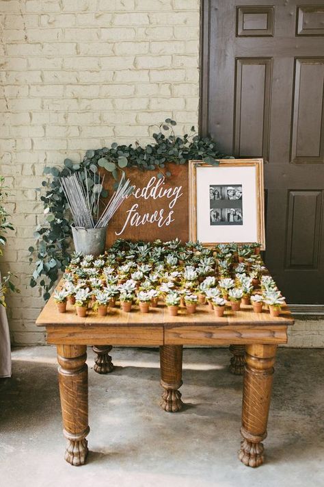 Cheap Wedding Reception, Cheap Wedding Gifts, Wedding Reception Favors, Wedding Favor Table, Succulent Wedding Favors, Creative Wedding Favors, Wedding Favor Labels, Cheap Favors, Table Favors