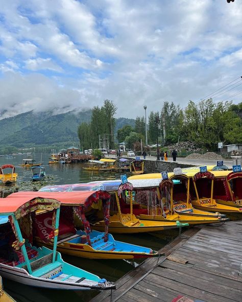 Dal Lake, Srinagar Kashmir Dal Lake Kashmir Photography, Kashmir Outfits, Kashmir Photography, Dal Lake Kashmir, Srinagar Kashmir, Dal Lake, Aesthetic Places, Views Video, Insta Profile