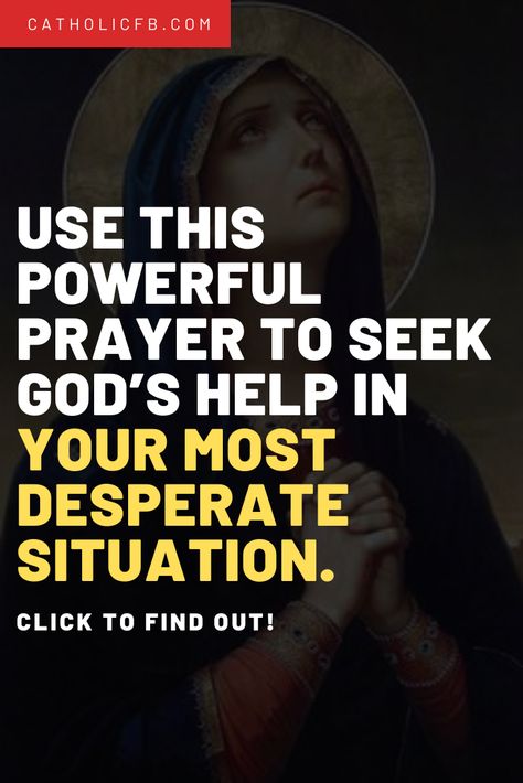 Prayer To Accept Jesus, Desperate Prayers, God Character, Prayers Against Stagnation, Christian Spirituality, Unanswered Prayers, Seek God, Prayer Changes Things, Seeking God