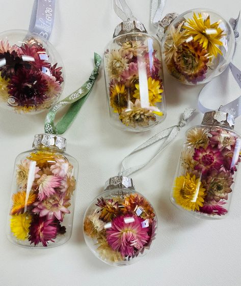 You will receive a set of 3 random dried flower ornaments, what I have in stock this close to Christmas. They will be beautiful and in the style shown. Ribbons may differ but they will be filled with dried Strawflowers that I grew and lovingly dried myself. Will not be exact ones shown. They are clear plastic and everyone compliments that they are very lightweight and perfect for the tree! You may receive all ball shapes or some with the elongated shape, just depends on what I have in stock when Dried Flower Glass Ornaments, Dried Flowers And Crystals, Strawflower Ornaments, Dried Flowers Ornament, Dried Flower Christmas Ornaments, Strawflower Crafts, Plastic Ornament Crafts, Crafts With Dried Flowers, Dried Flower Christmas Tree