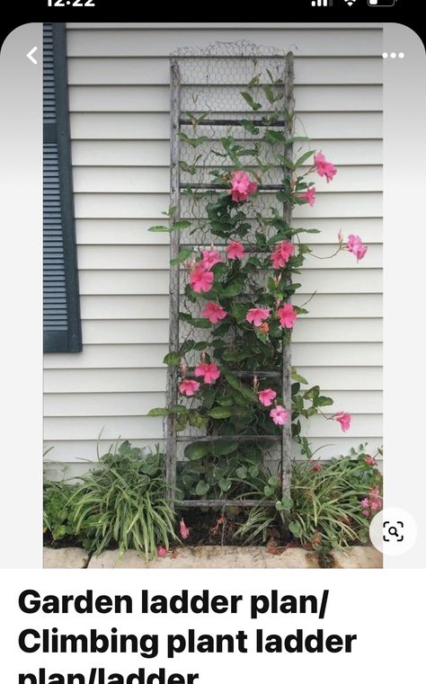 Ladder Garden, Garden Ladder, Flower Trellis, Old Ladder, Garden Wallpaper, Garden Yard Ideas, Chicken Wire, Kew Gardens, Garden Trellis