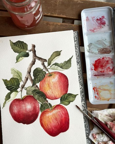 Saloni | Watercolor and Guache Artist | Watercolour botanical illustration of apples 🍎 🍎🍎 Quite chuffed with how this final painting has turned out. As much as I love gouache, I … | Instagram What Should I Paint, My Forever Love, Watercolour Botanical, Apple Painting, Watercolor Painting Techniques, Fruit Painting, Botanical Watercolor, Botanical Painting, Artist On Instagram